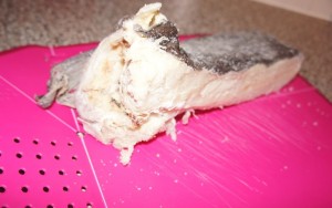 DSC0997125255B825255D /blog/2012-12-24-bakalar/images/DSC0997125255B825255D-300x188.jpg